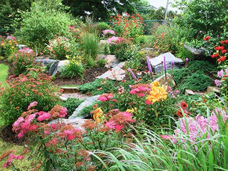 Perennial Garden